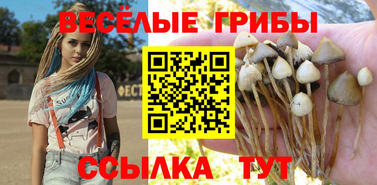 Псилоцибиновые грибы Magic Shrooms Удомля