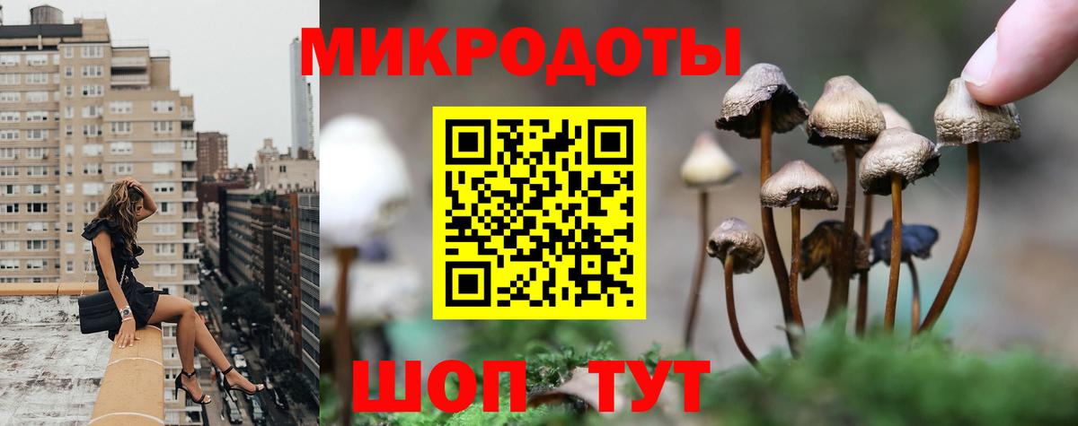 Удомля  Галлюциногенные грибы Magic Shrooms  Вход с VPN 